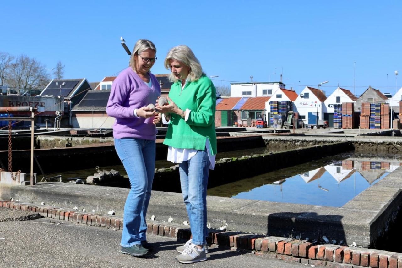 Aan Het Veerse